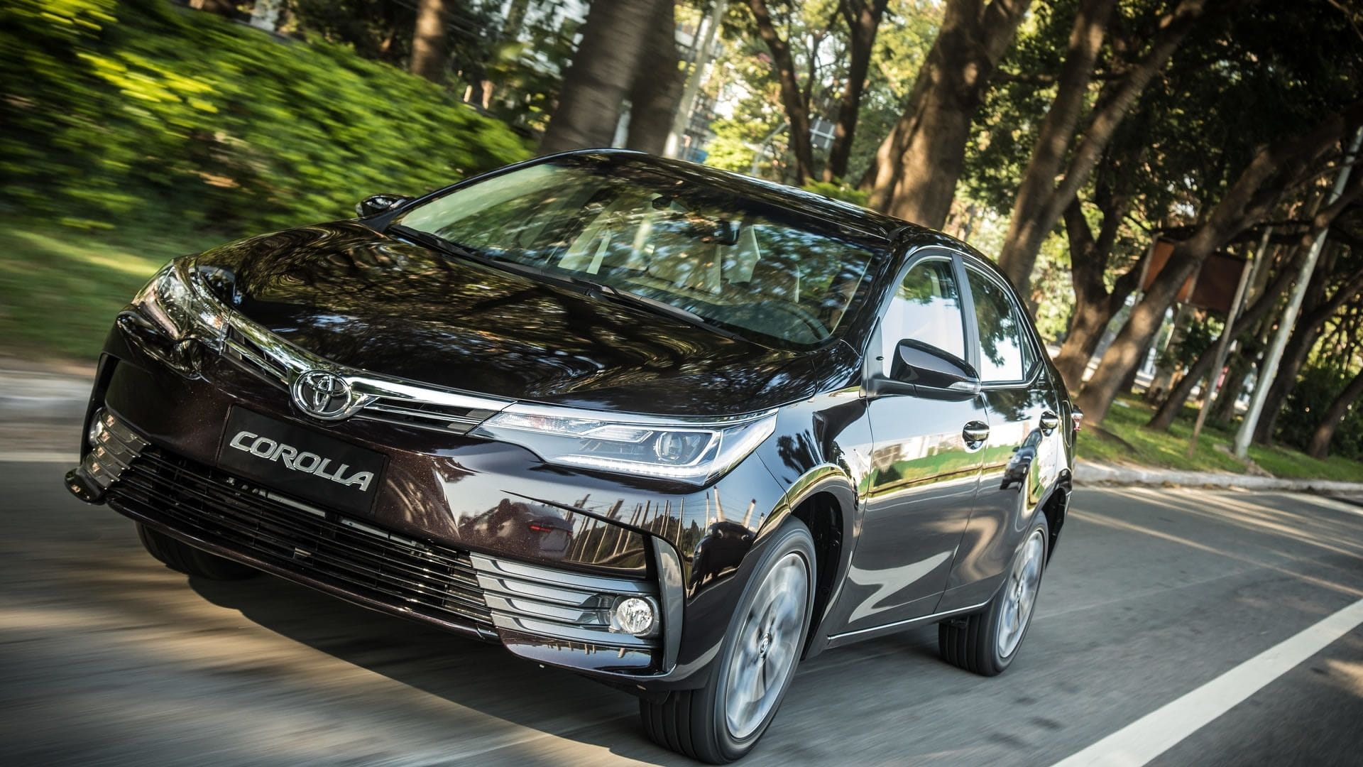 toyota corolla altis main